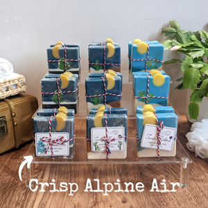 Crisp Alpine Air -  Exfoliating Goats Milk Pine Soap