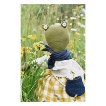 Load image into Gallery viewer, Fern the Frog doll-  Buttercup gingham linen skirt