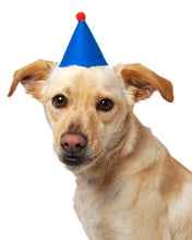 Load image into Gallery viewer, Pawty Hat - Yellow