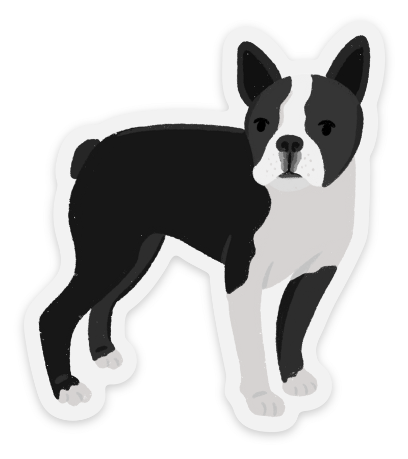 Boston Terrier Dog Sticker